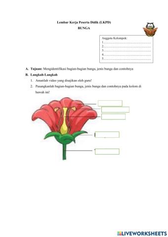 Lembar Kerja Peserta Didik Bunga