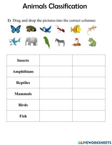 Animal classification