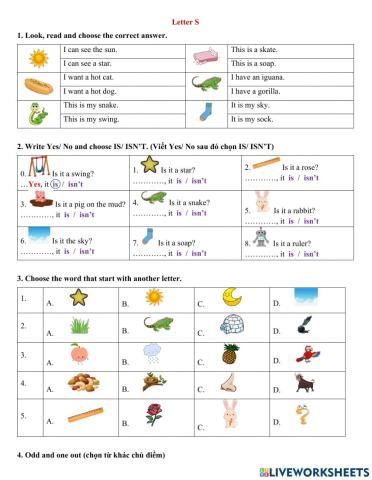 13.11 Group 2 Letter S