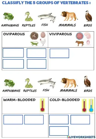 Vertebrates reproduction: and blood temperature