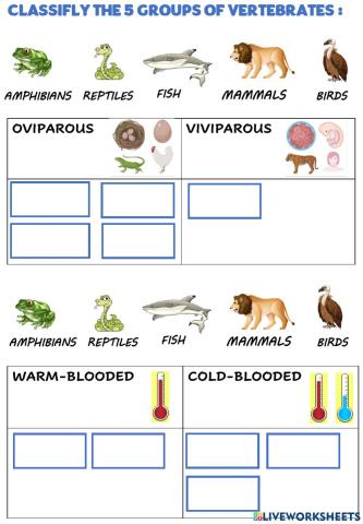 Vertebrates reproduction: and blood temperature