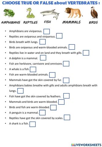 Vertebrates true or false