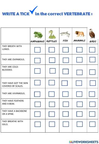 Vertebrate characteristics tick