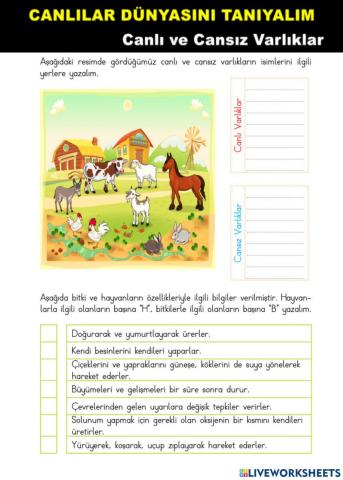 Canlılar Dünyasına Yolculuk