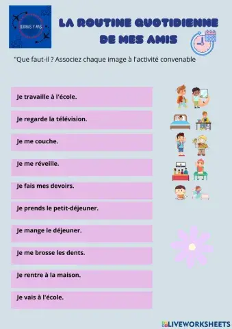 La routine quotidienne de mes  amis