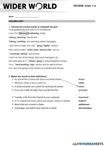 Wider World 2 Review 1-4