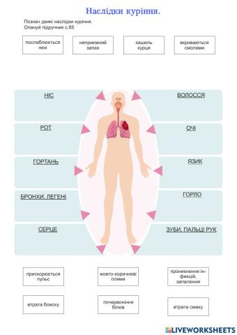 ЯДС РЗ с.35-36 Шкідливі звички