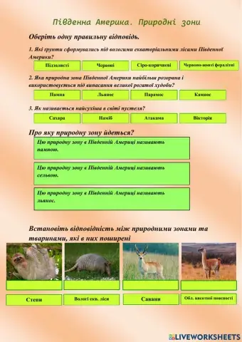 Південна Америка. Природні зони