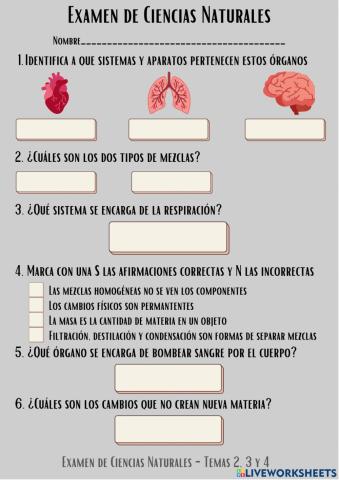 Examen de recuperación de los temas 2,3 y 4