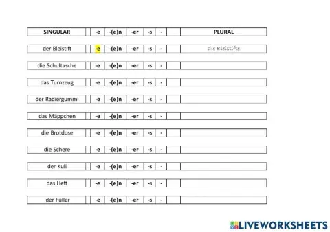 Singular-Plural SChulsachen