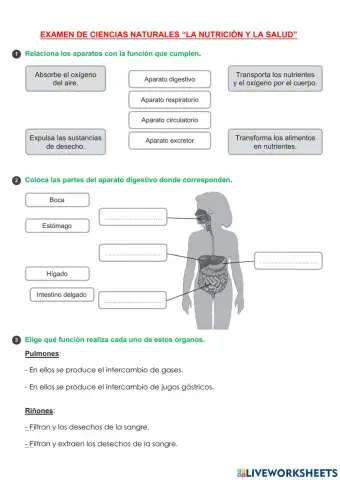 Examen naturales la nutrición y la salud