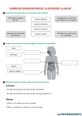 Examen naturales la nutrición y la salud