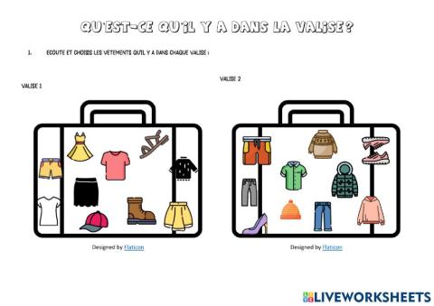 Qu'est-ce qu'il y a dans la valise?