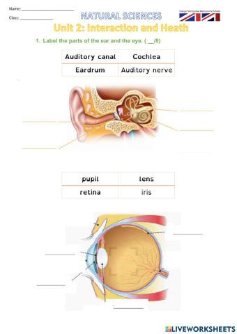 Natural test unit 2 Interaction AD