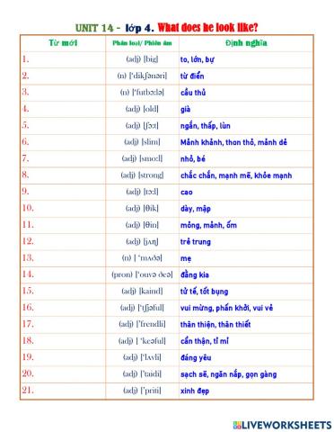 E4. unit 14. what does he look like?