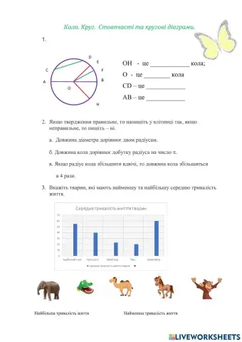 Коло. Круг. Стовпчасті та кругові діаграми.