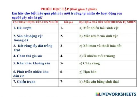 Phiếu học tập