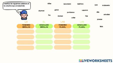 Concordancia artículos y sustantivos