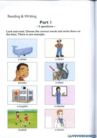 A S 5 Reading March 23