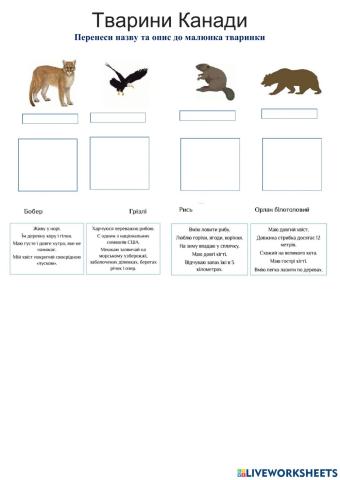 Тварини Канади