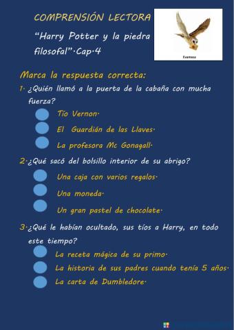 Comprensión lectora Cap.4 Harry Potter