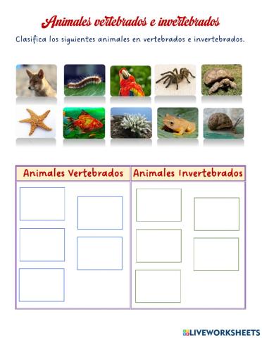 Los animales vertebrados e invertebrados