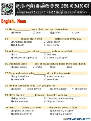 วิชาภาษาอังกฤษ เรื่อง คำนาม