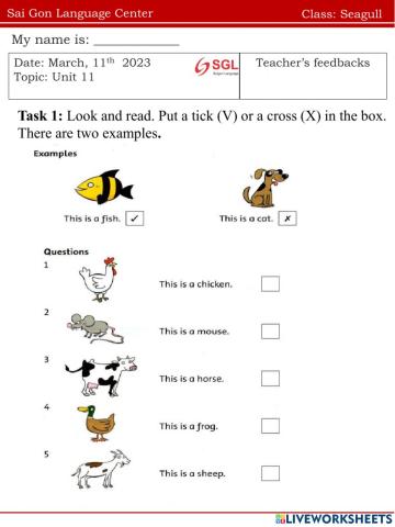 Seagull.FF1.U11(11.03)