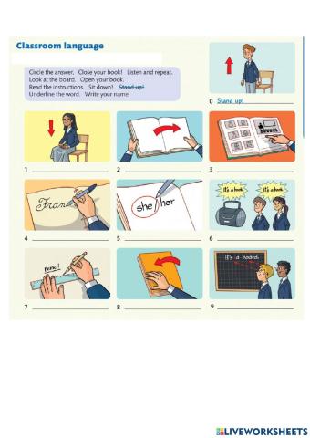 Classroom language