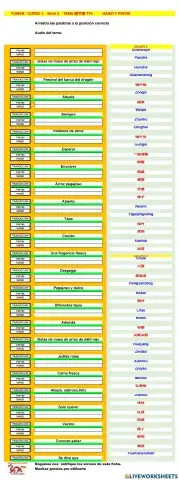 Chino mandarin primaria (YUWEN), TEMA  TEMA 端午粽 T10-H y P