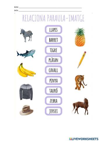Relaciona paraula amb imatge