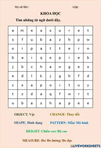 Bài tập tìm chữ (wordsearch)