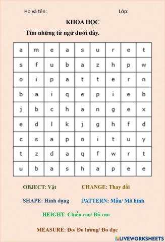 Bài tập tìm chữ (wordsearch)