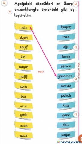 Eş Anlam Eşleştirme