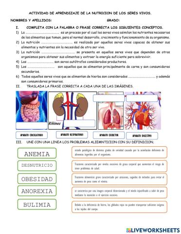 La nutricion de los seres vivos