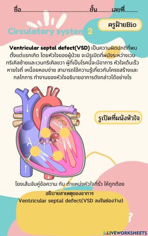 สร้างคำอธิบาย งระบบหมุนเวียนเลือด