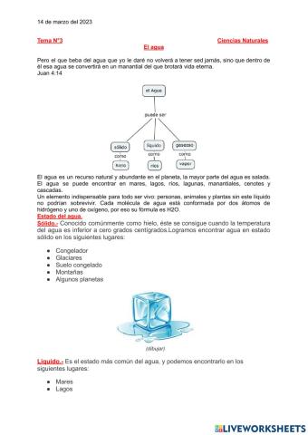 El agua ysus estados