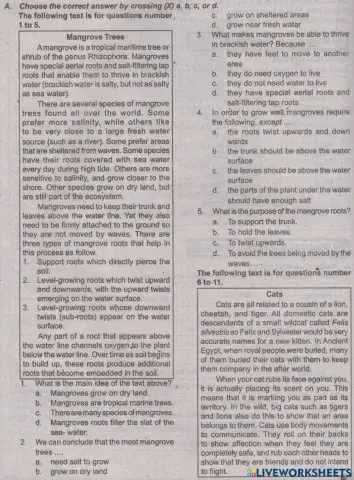 Ulangan Bahasa Inggris Kelas 9 BAB 3 MBHITC