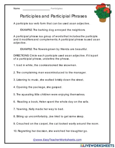 Participles and Participle phrases