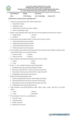 Soal pts biologi kelas 8