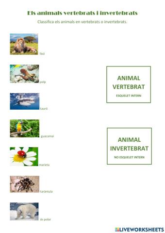 Els animals vertebrats i invertebrats