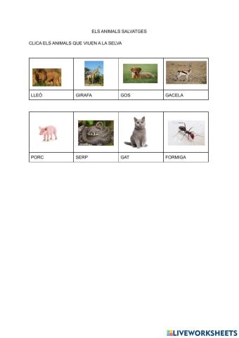 Els animals salvatges