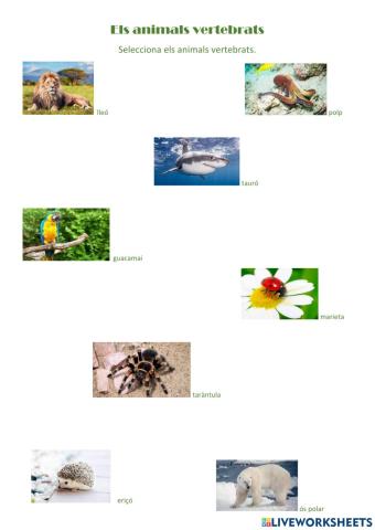 Els animals vertebrats