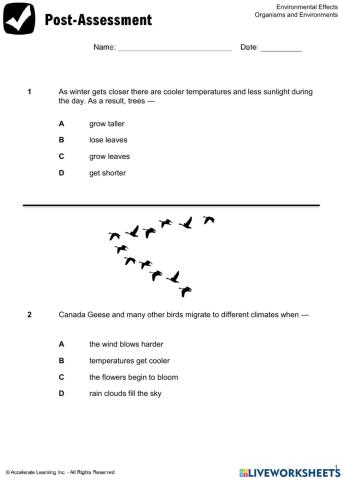 Science Test Environmental Effects