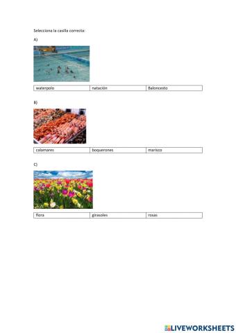 Selecciona la casilla correcta