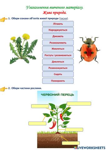 ЯДС, 1 клас. Об'єкти живої природи. Будова тіла.