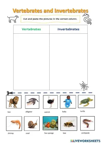 Vertebrates and Invertebrates