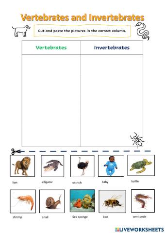 Vertebrates and Invertebrates
