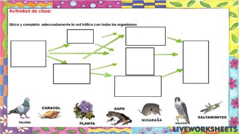 CN-Actividad de Clase semana 9: