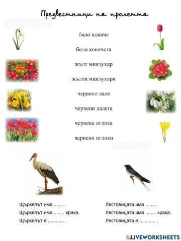 Предвестници на пролетта